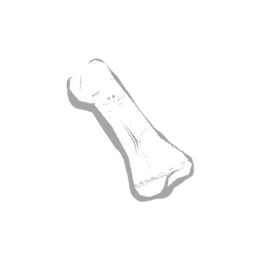 Offrande : Phalange de MacMillan