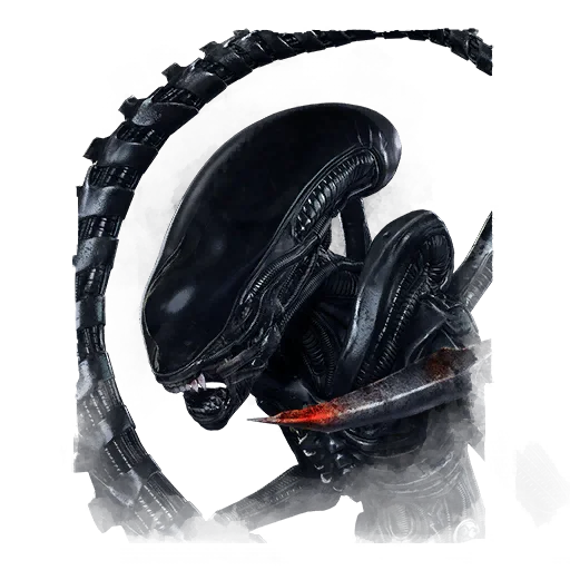 Portrait de Le Xénomorphe