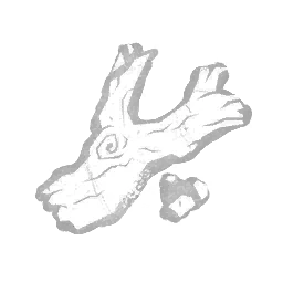 Offrande : Chêne pétrifié